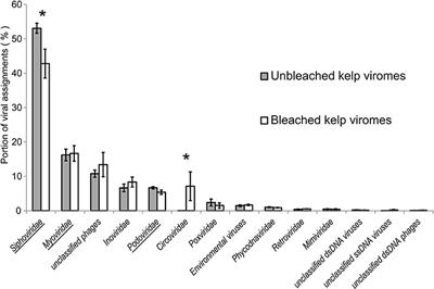 Novel ssDNA Viruses Detected in the Virome of Bleached, Habitat-Forming Kelp Ecklonia radiata